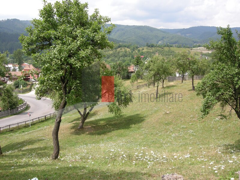 Rucar  Teren intravilan 3214 mp  in Rucar cu deschidere 56 m in DN73